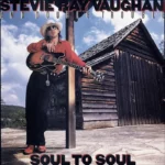 Stevie