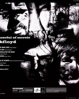 A Saucerful of Secrets