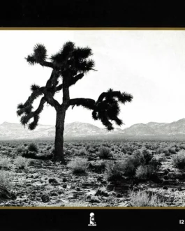 The Joshua tree