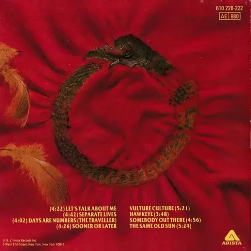 Vulture culture - Imagen 2