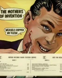 Weasels ripped my flesh