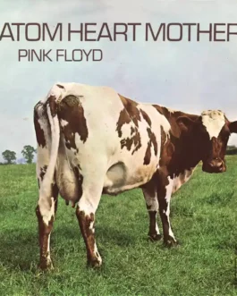 Atom heart mother