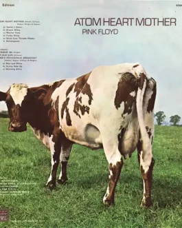 Atom heart mother
