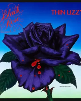 Black rose