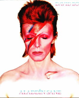 Aladdin sane